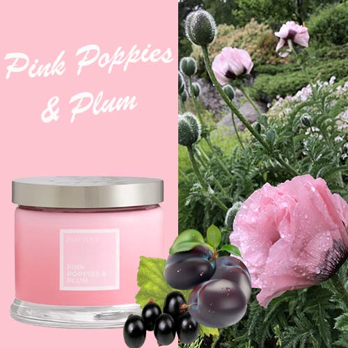 Pink Poppies & Plum pots parfumé 3 mèches Partylite