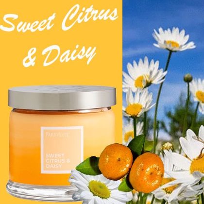 Sweet Citrus & Daisy Pots 3 mèches parfumé Partylite