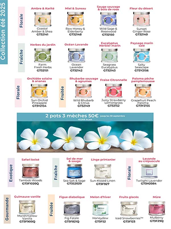 Pots partylite 3 mèches Offre Partylite pots 3 mèches